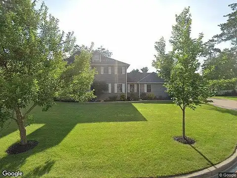 Scotch Pine, EAU CLAIRE, WI 54701