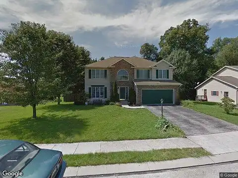 Chinkapin, NEW OXFORD, PA 17350