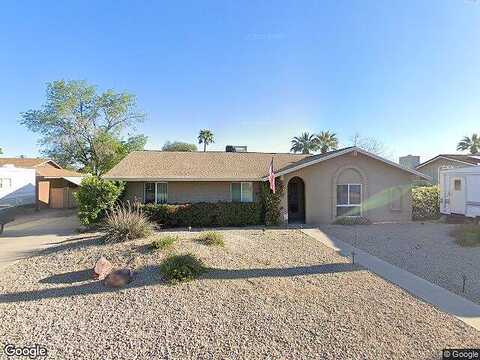 Lupine, PHOENIX, AZ 85028