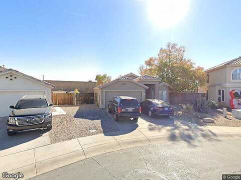 Camellia, GILBERT, AZ 85296