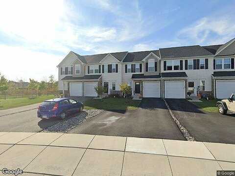 Tulip, GILBERTSVILLE, PA 19525
