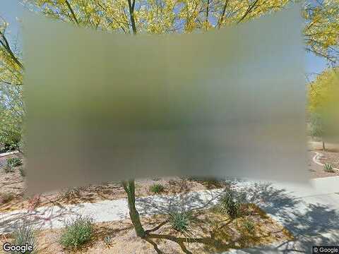 Brittle Bush, BUCKEYE, AZ 85396