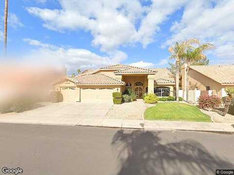 Desert Broom, CHANDLER, AZ 85248