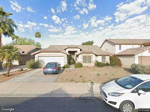Larkspur, GILBERT, AZ 85296