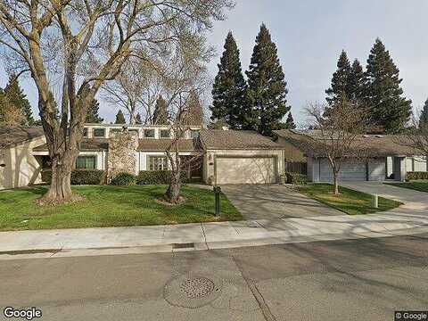 Spruce Tree, SACRAMENTO, CA 95831