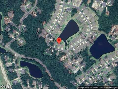 Chinquapin, SAINT MARYS, GA 31558