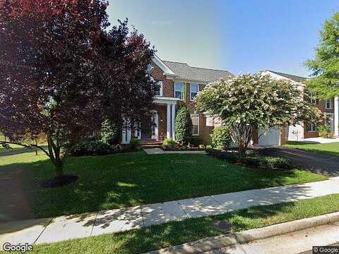 American Holly, LORTON, VA 22079