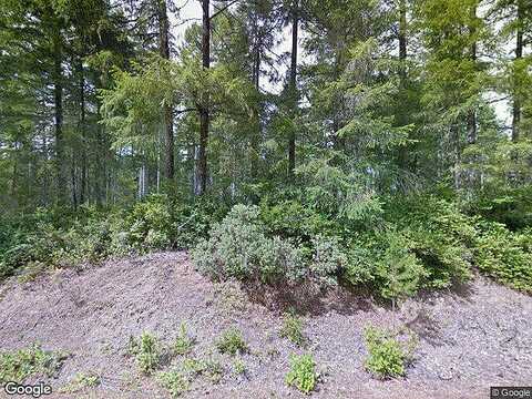 Rhododendron, UNION, WA 98592