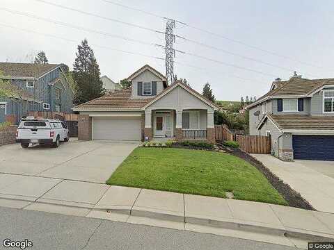 Molluk, CLAYTON, CA 94517