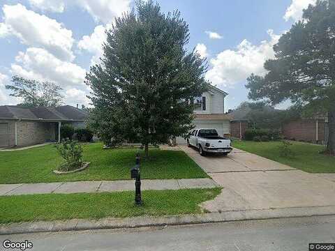 Cilantro, BAYTOWN, TX 77521