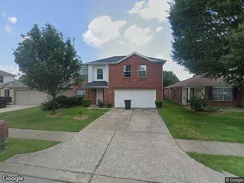 Cilantro, BAYTOWN, TX 77521
