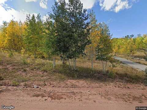 Lumber Jack, FAIRPLAY, CO 80440