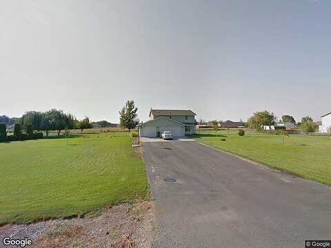 Snow Goose, MOSES LAKE, WA 98837