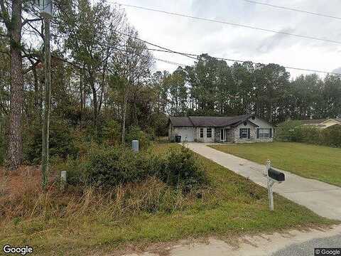 Wilkinson, LUDOWICI, GA 31316