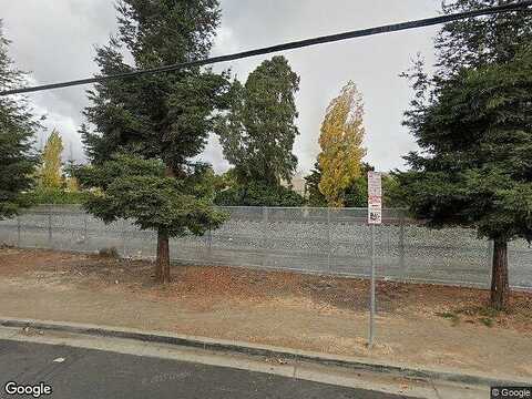 Eucalyptus, HAYWARD, CA 94544
