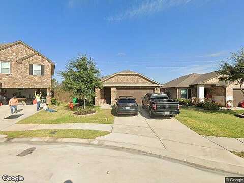 Spotted Owl, KATY, TX 77493