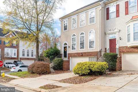 Grosbeak, WOODBRIDGE, VA 22191