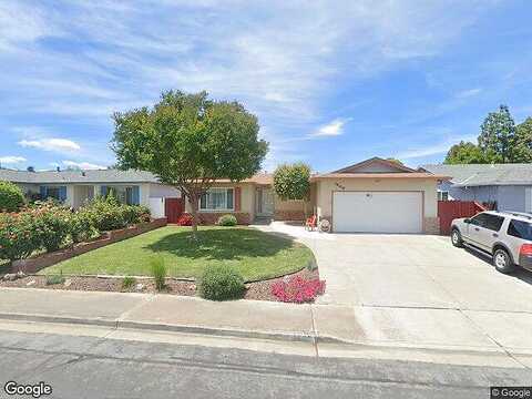 Aster, ANTIOCH, CA 94509