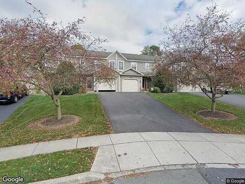 Sugar Maple, NEW CUMBERLAND, PA 17070