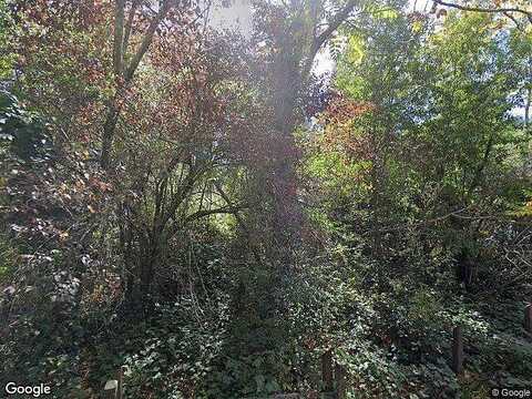 River, FORESTVILLE, CA 95436
