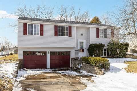 Macnab, CORAOPOLIS, PA 15108