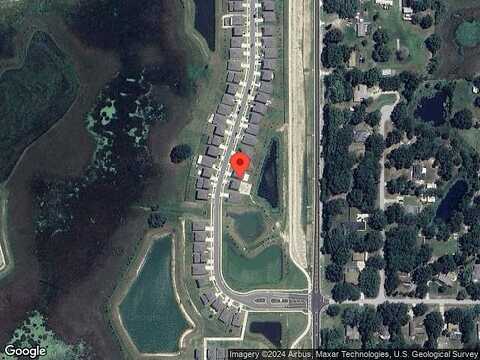 Branching Ship, WESLEY CHAPEL, FL 33545