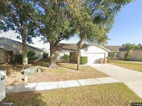 Turkey Oak, KISSIMMEE, FL 34747