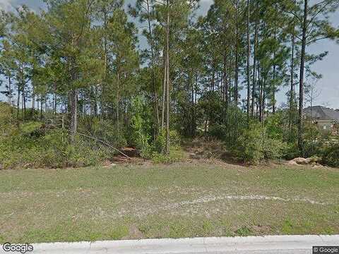 Abby Mist, SAINT JOHNS, FL 32259