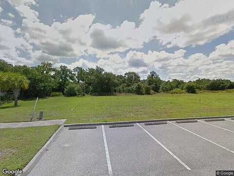 Spotted Deer, RIVERVIEW, FL 33578