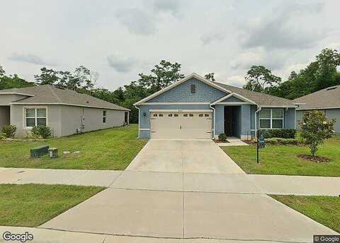 Coral Berry, MOUNT DORA, FL 32757