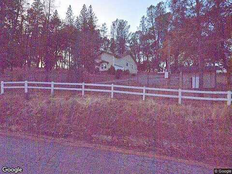 Mosquito, PLACERVILLE, CA 95667