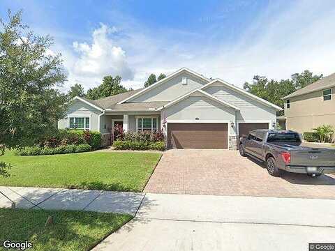 American Holly, OVIEDO, FL 32765