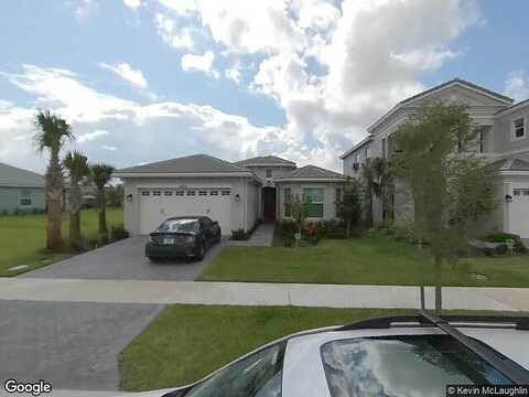 Buttonbush, LOXAHATCHEE, FL 33470