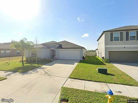 Dandelion, APOLLO BEACH, FL 33572
