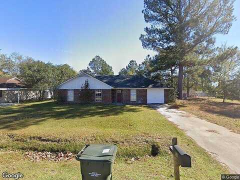 Pheasant, HINESVILLE, GA 31313