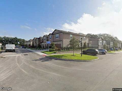 Blue Latan, TAMPA, FL 33610