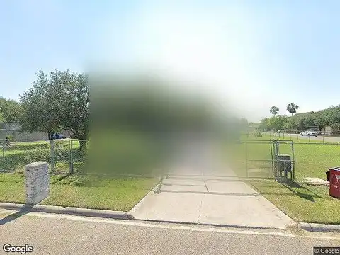 Rattlesnake, EDINBURG, TX 78542