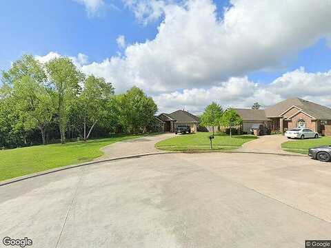 Palmetto, DICKINSON, TX 77539