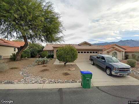 Mountain Sage, TUCSON, AZ 85739