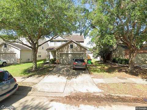 Edgewick Elm, FRESNO, TX 77545