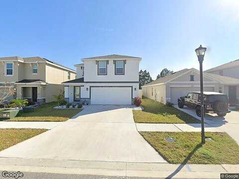 Star Anise, WIMAUMA, FL 33598