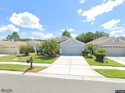 Banyan Hill, LAND O LAKES, FL 34639