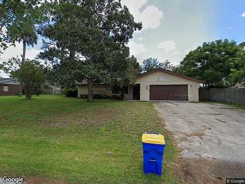 Travelers Palm, EDGEWATER, FL 32141