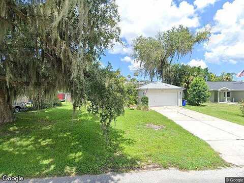 Needle Palm, EDGEWATER, FL 32141