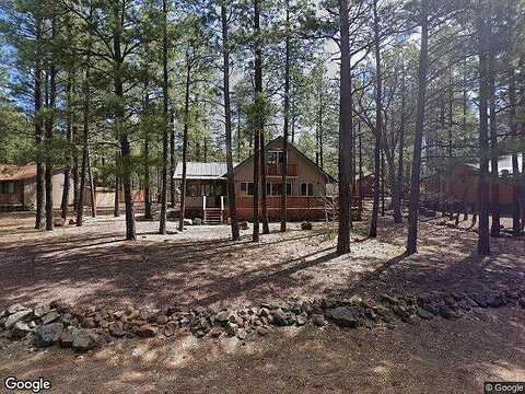Black Bear, PINETOP, AZ 85935