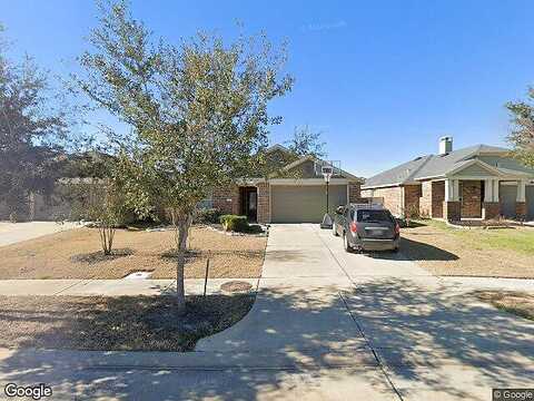 Stoneroller, RICHMOND, TX 77469