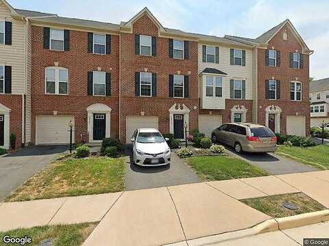 Chinkapin Oak, STERLING, VA 20166