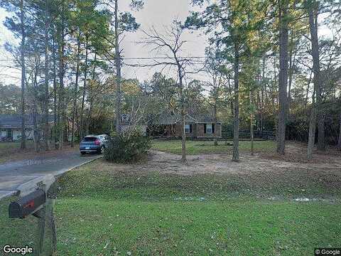 Rainfern, MAGNOLIA, TX 77355
