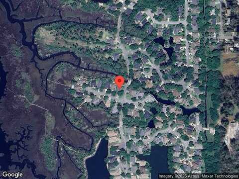 Green Heron, JACKSONVILLE BEACH, FL 32250