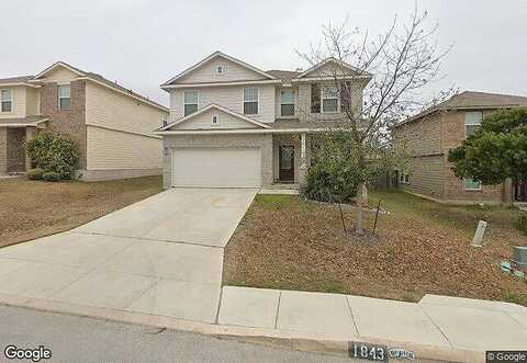 Golden Maple, SAN ANTONIO, TX 78245